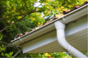 Gutter Cleaning For Fall